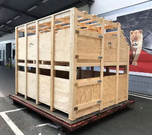 AVS Transportbox Tiere