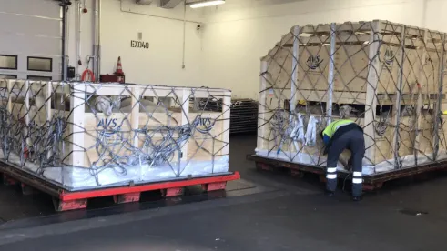 Transport für Tiere Luftfracht